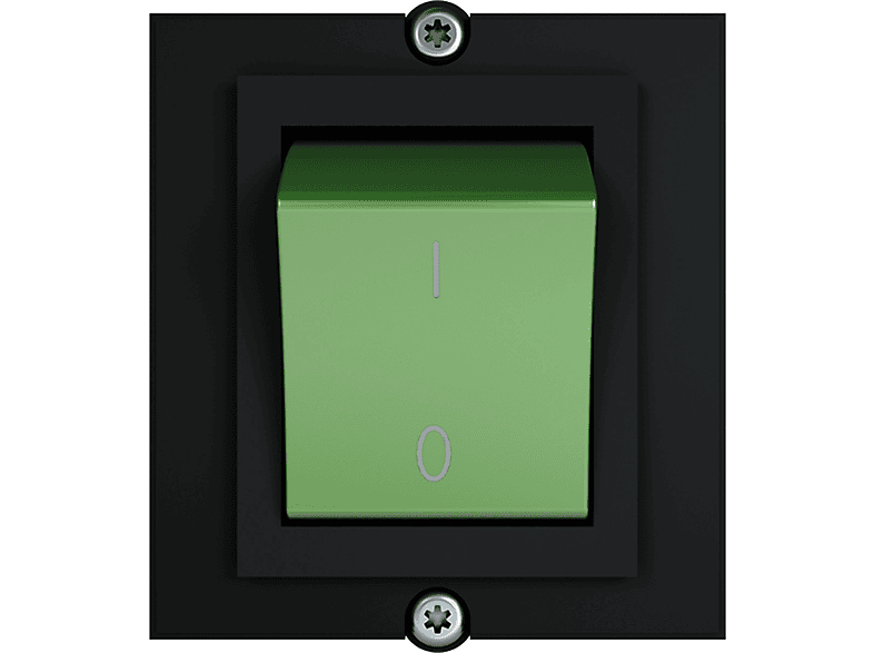 Custom Schalter 2-polig Rahmen 1x Module grün BACHMANN