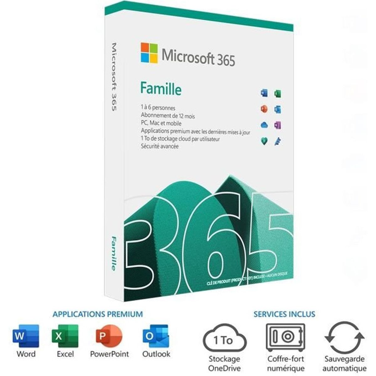 Software MICROSOFT 6GQ-01573,