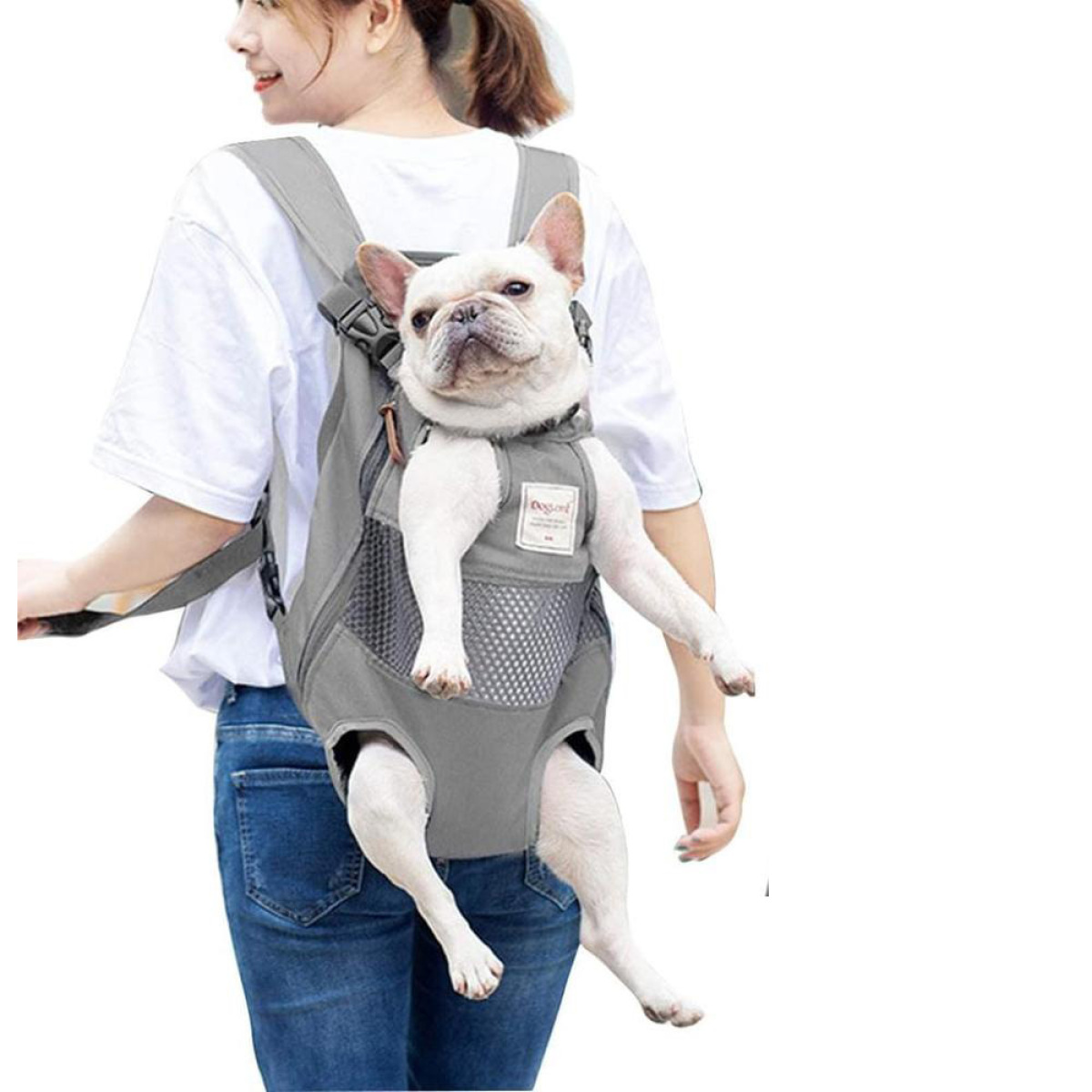 Eine Person trägt einen Hund in einem grauen Rucksack. Der Hund schaut nach vorne.