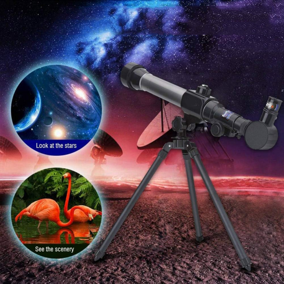 Ein Teleskop auf einem Stativ wird mit zwei inset-Bildern gezeigt: eine Galaxie und Flamingos im Wasser.