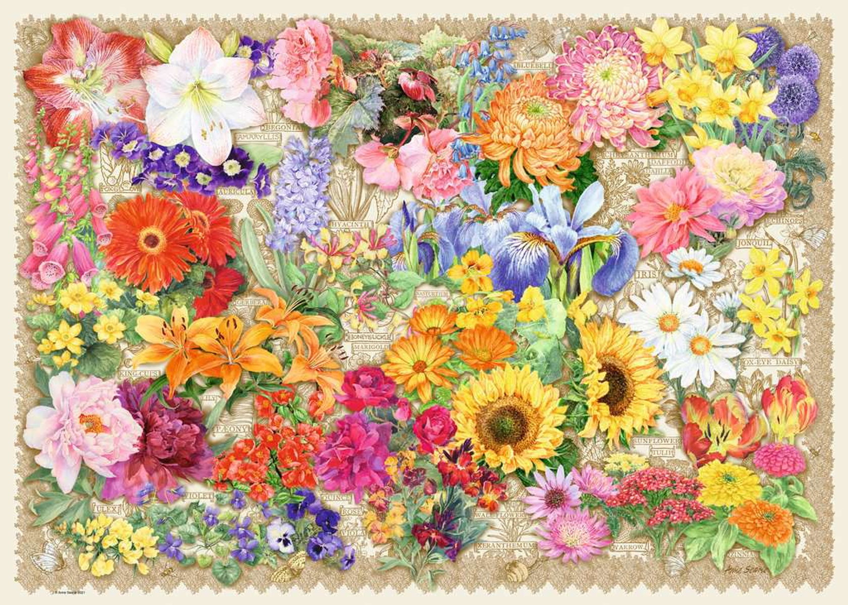Eine farbenfrohe Collage von Blumen, mit Beschriftungen und neutralem Hintergrund, zeigt Blumenarten.