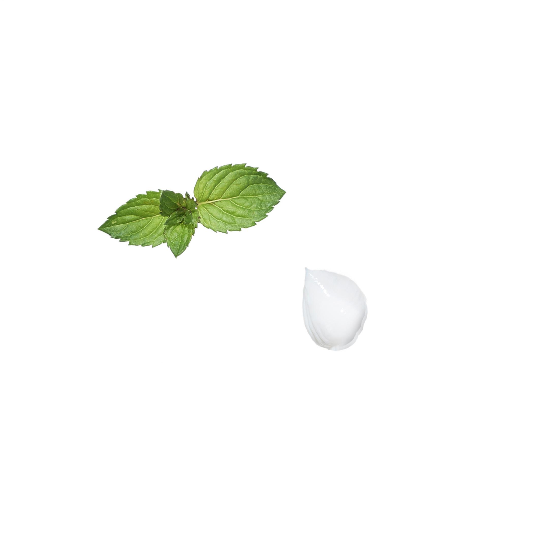 Minzblätter und ein kleiner Tropfen weißer Creme auf weißem Hintergrund.