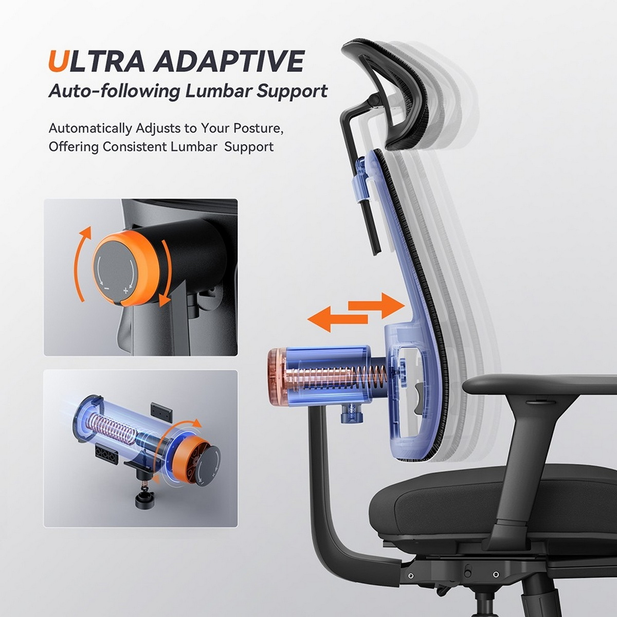 Diagramma di una sedia da ufficio ergonomica con supporto lombare. Mostra le funzioni di regolazione e i meccanismi interni.
