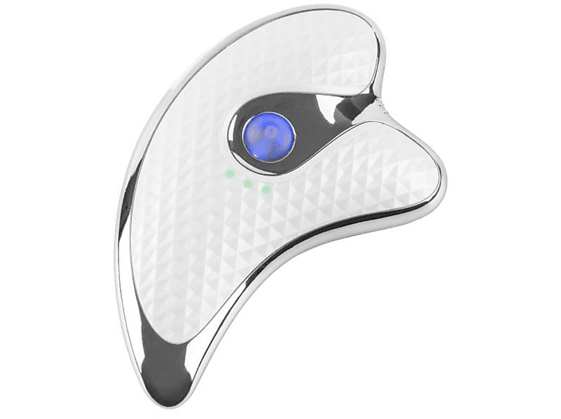 LACAMAX Delphine Mikrostrom Schönheit Instrument, Elektrische Vibration Schaben, Ionische Einführung Gesichtssauna Weiß