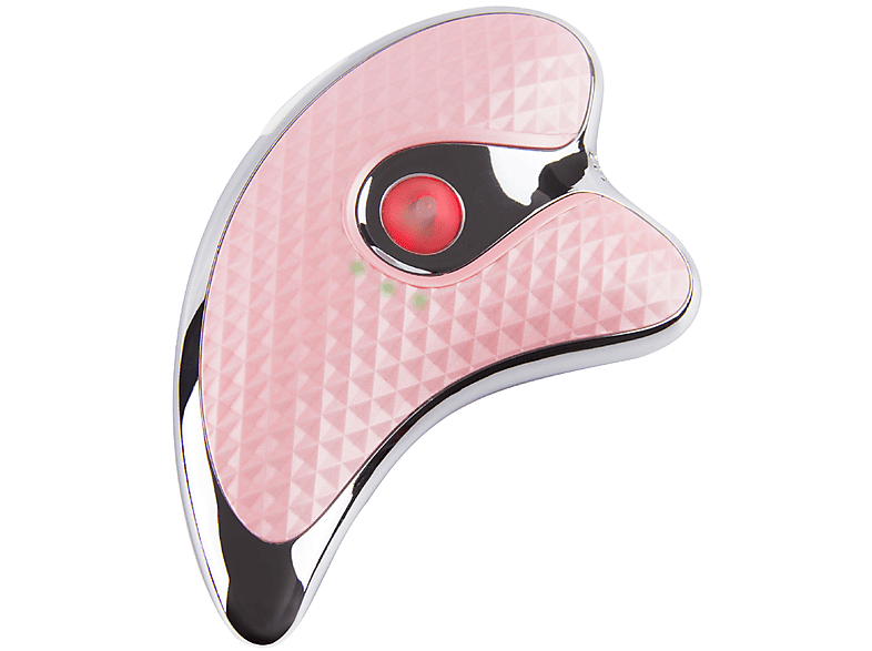 LACAMAX Delphine Einführung Elektrische Ionische Instrument, Rosa Gesichtssauna Vibration Schönheit Schaben, Mikrostrom