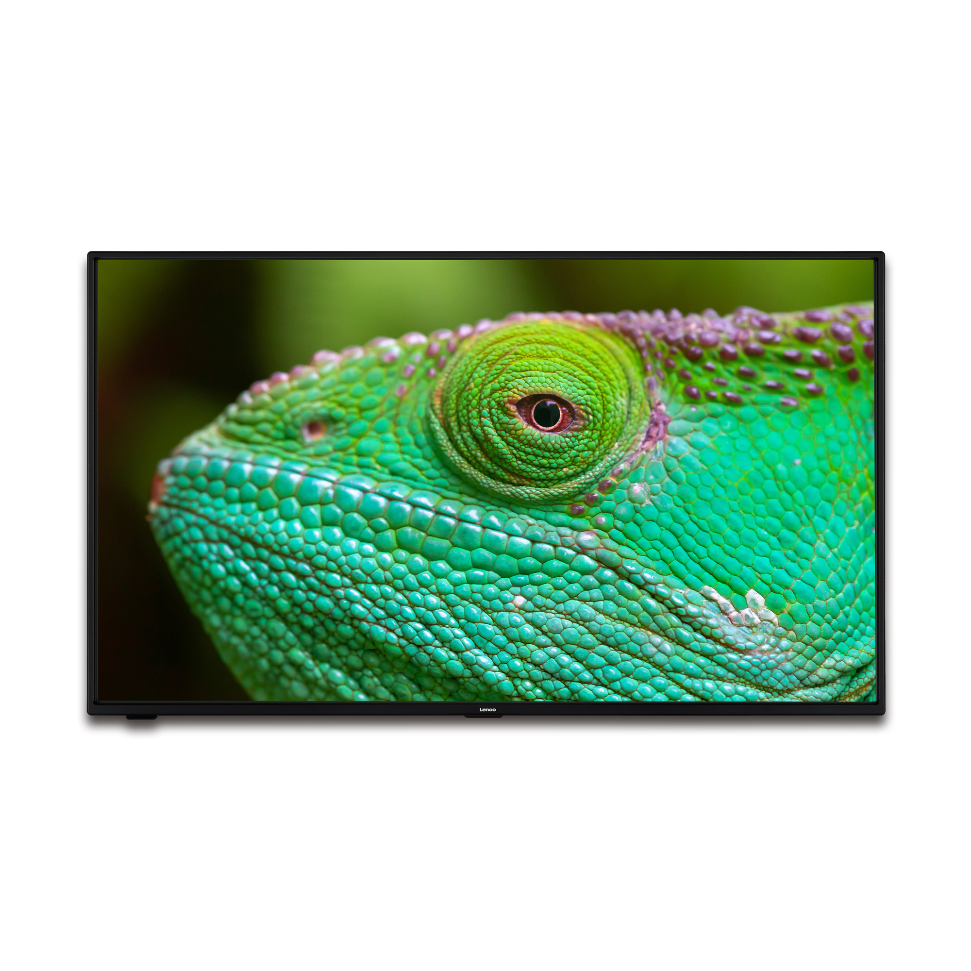 Close-up van een groene en paarse kameleon op een computerscherm. Donkere achtergrond.
