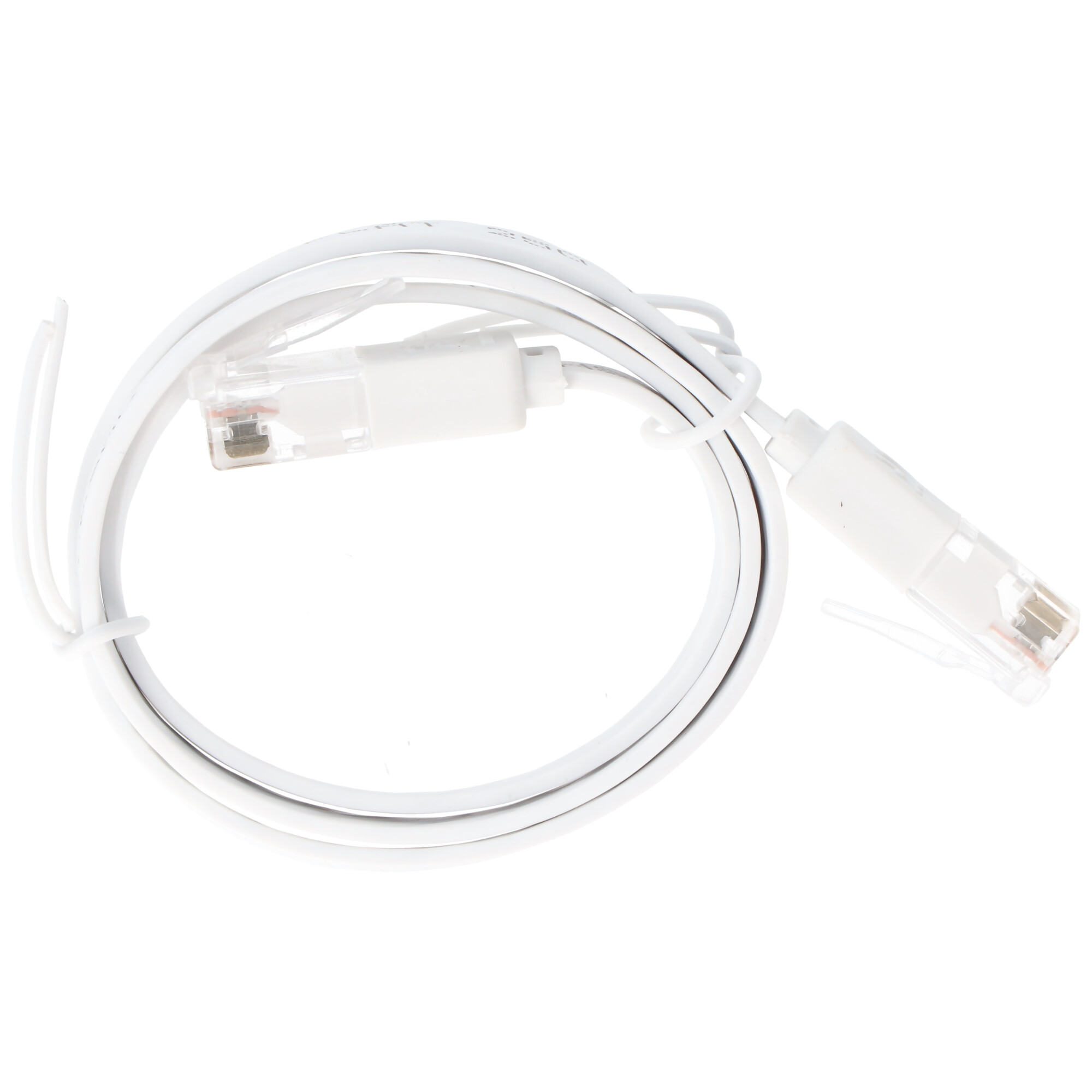 Witte Ethernet-kabel met twee transparante connectoren.