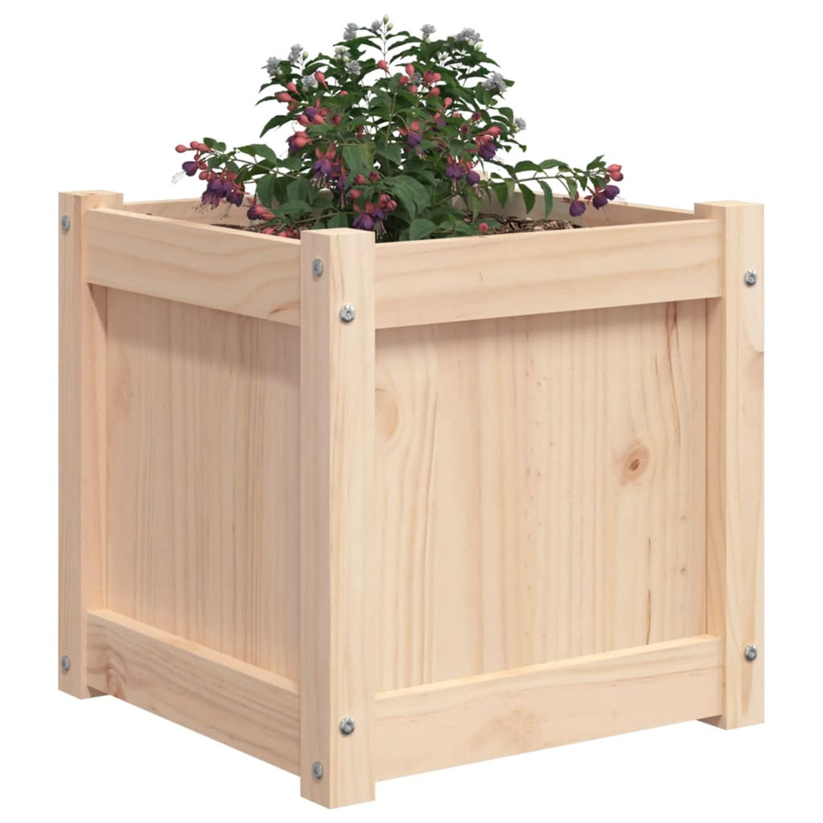 Holzkasten mit einer blühenden Pflanze. Die Box ist hellbraun. Die Pflanze hat lila Blüten und grüne Blätter.