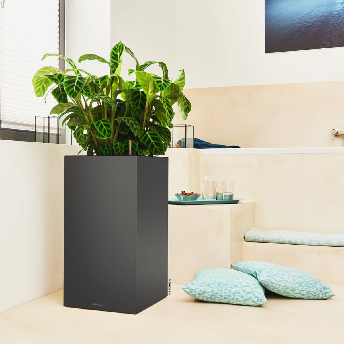 Salle de bain moderne, plante dans un pot gris foncé. Murs beige clair et baignoire blanche.