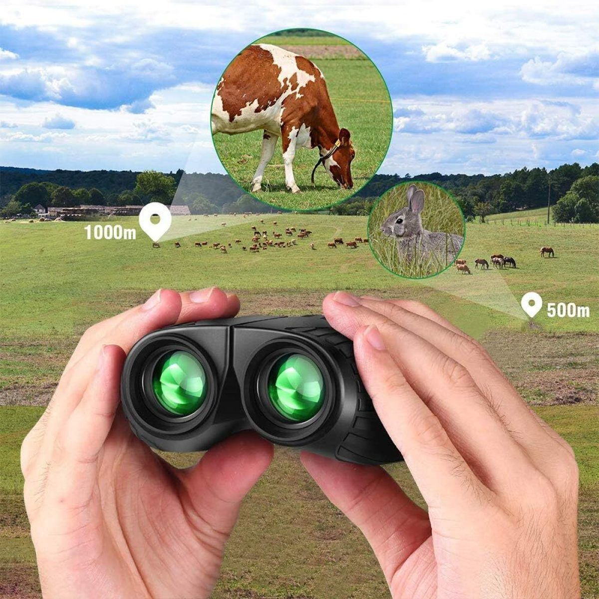 Hände halten Fernglas, das eine Kuh und ein Kaninchen auf dem Feld betrachtet.