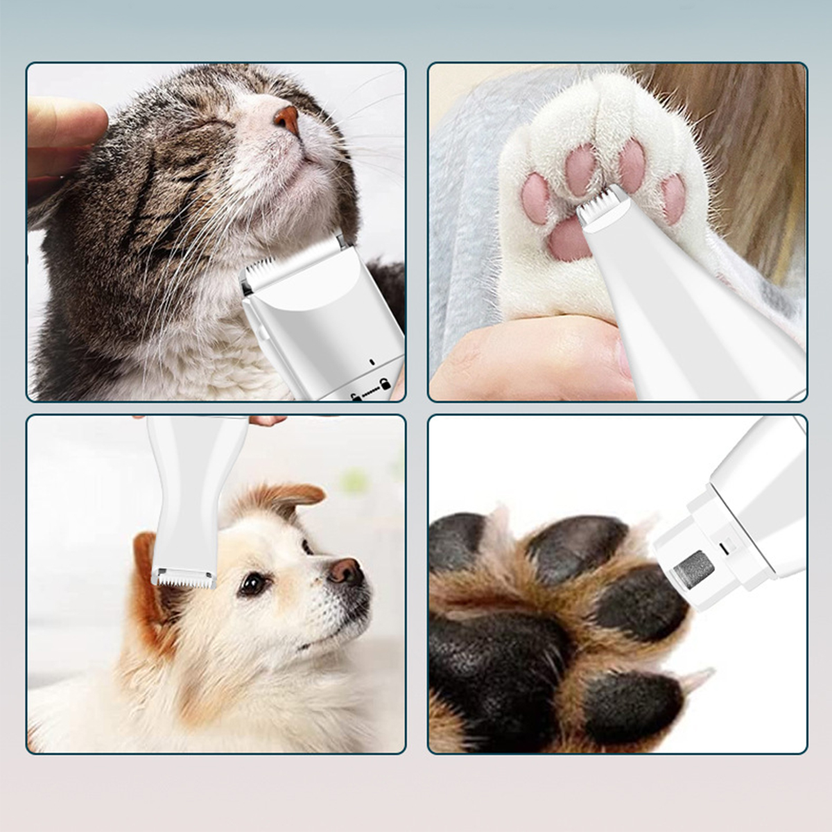 Vier Bilder: Katze wird rasiert, Katzenpfote wird getrimmt, Hundeohr wird rasiert und Hundepfote wird getrimmt.