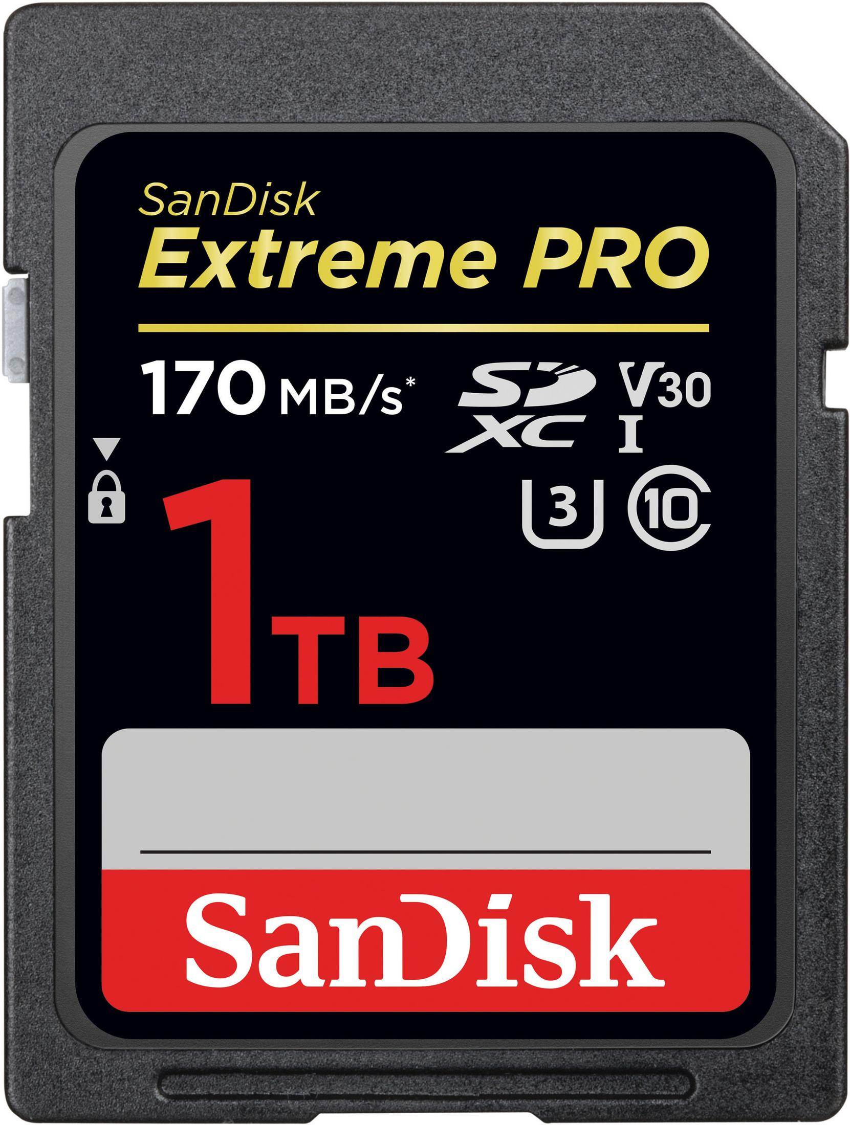 1T, SDSDXXY-1T00-GN4IN Speicherkarte, SANDISK TB, 170 MB/s SDXC SDXC 1 EXTR.PRO