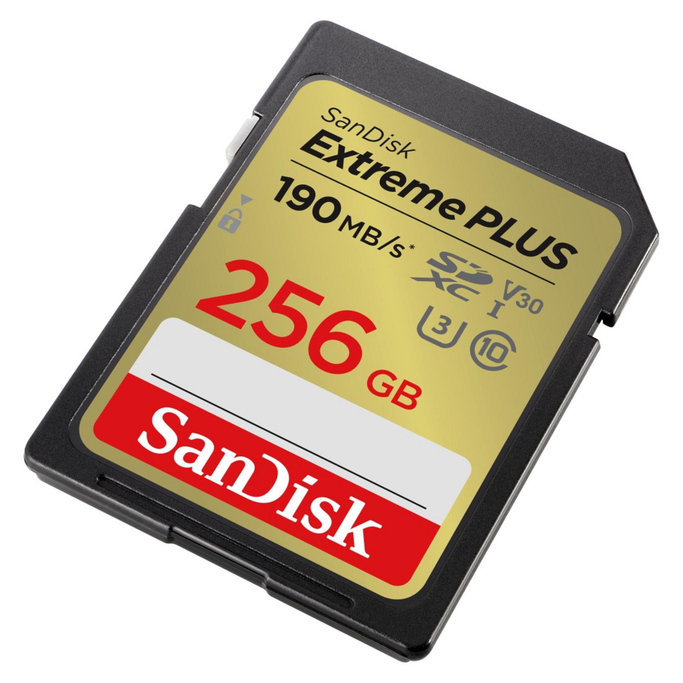 SanDisk Extreme PLUS SD-Karte. Schwarzes Gehäuse mit goldenem Etikett und rotem Text.