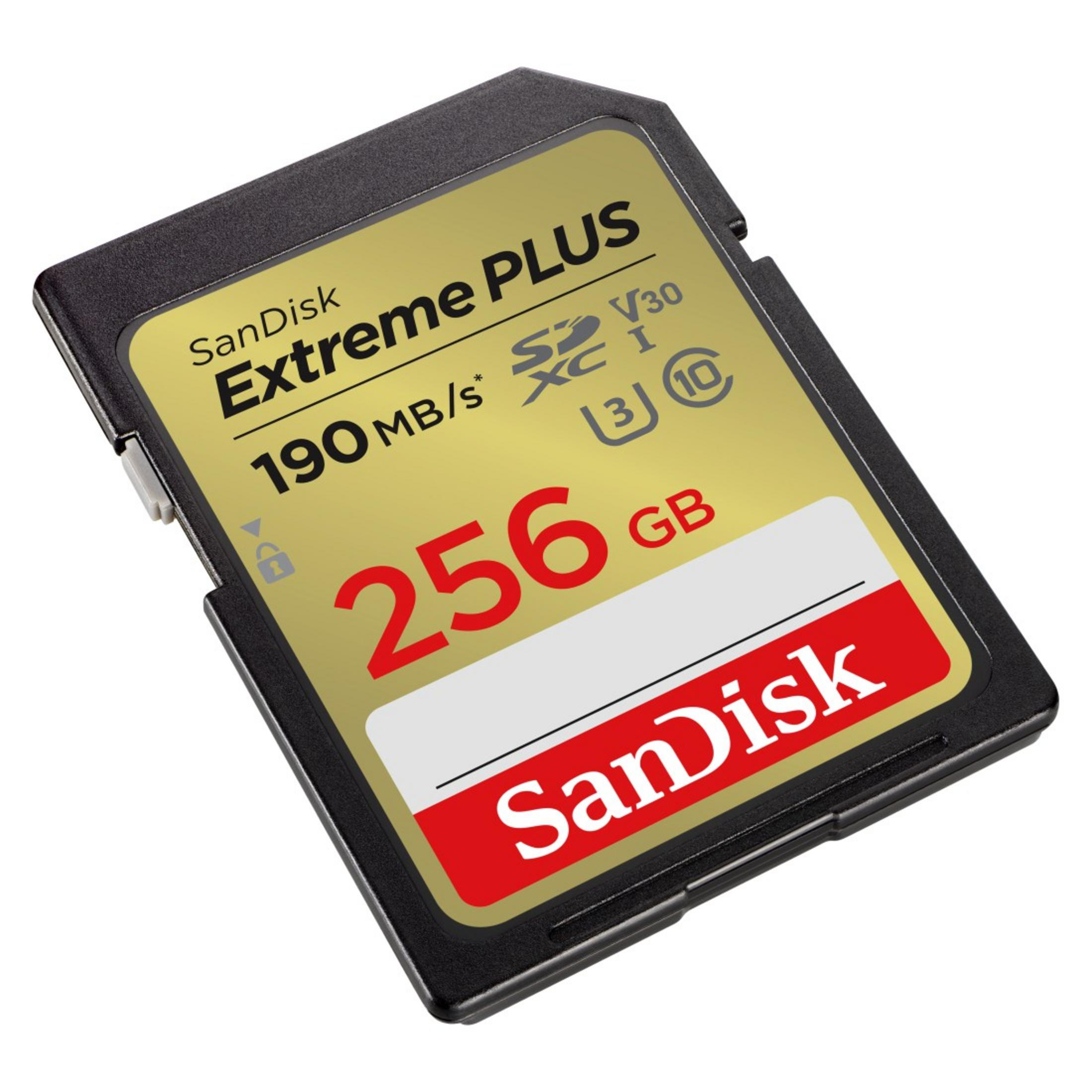 Eine SanDisk Extreme PLUS 256 GB SD-Karte. Die Karte ist schwarz und goldfarben. Der Text ist rot und weiß.