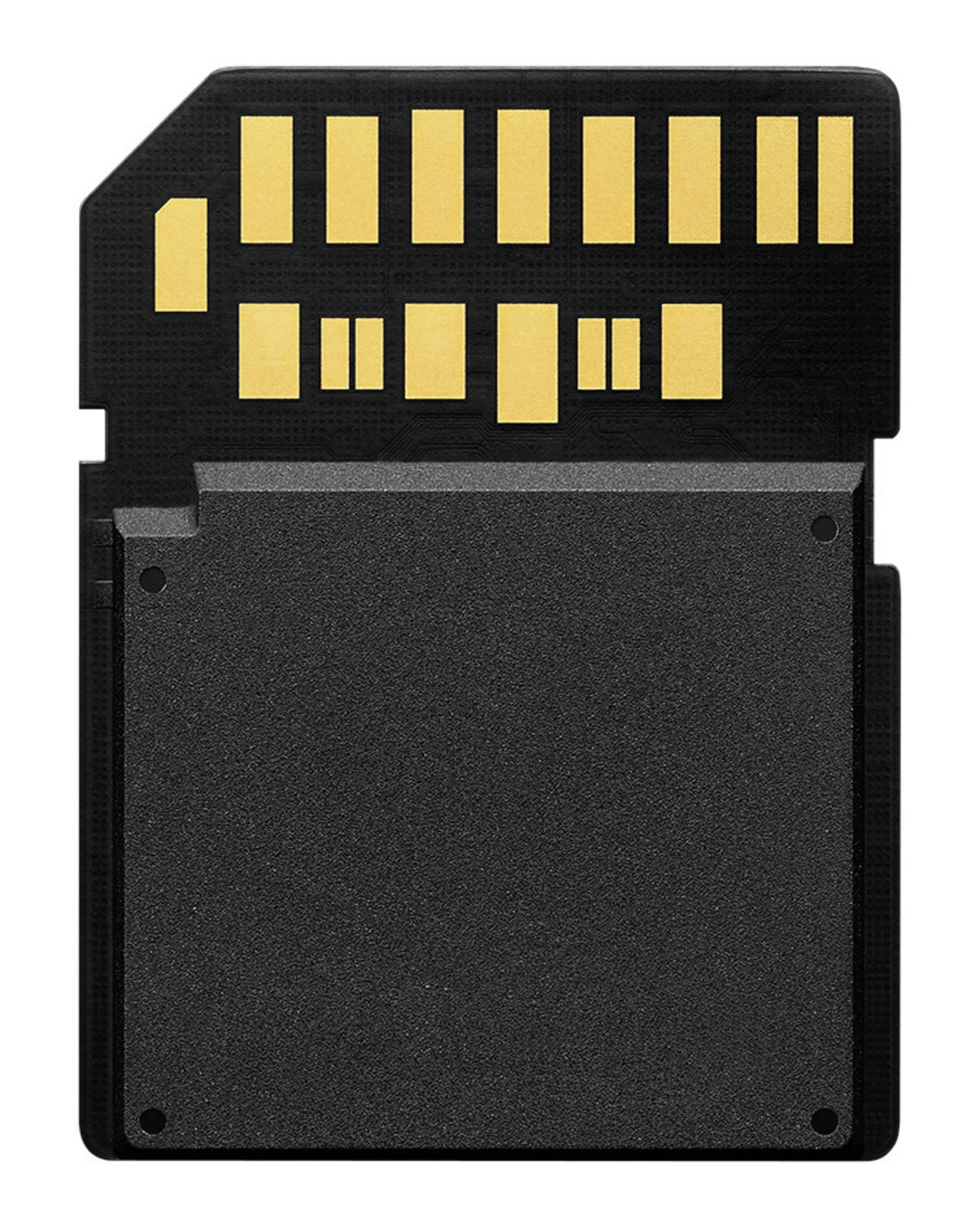 Eine schwarze SD-Karte mit Goldkontakten wird vor weißem Hintergrund gezeigt. Die Details der Karte sind scharf.