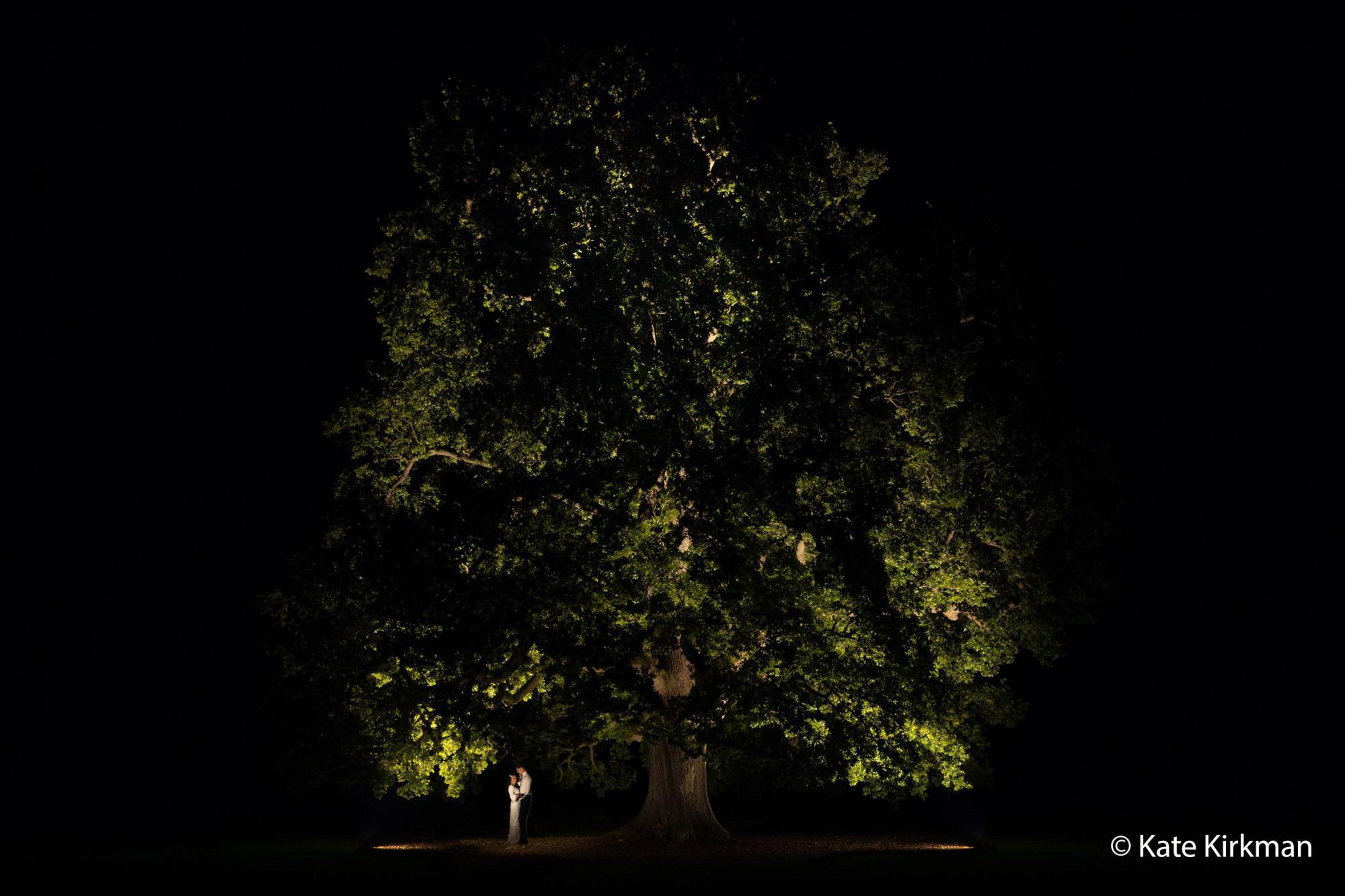 Ein großer Baum bei Nacht beleuchtet, mit einem Paar darunter.
