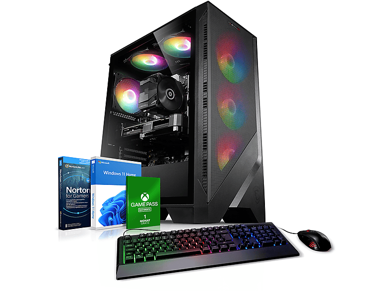 KIEBEL GB 16 5 Ryzen 5 500 Prozessor, AMD GB Gaming SSD, Ryzen™ mit 11 5500, 3050, Cobra 8 RAM, GB PC GeForce RTX™ NVIDIA AMD Windows Home,