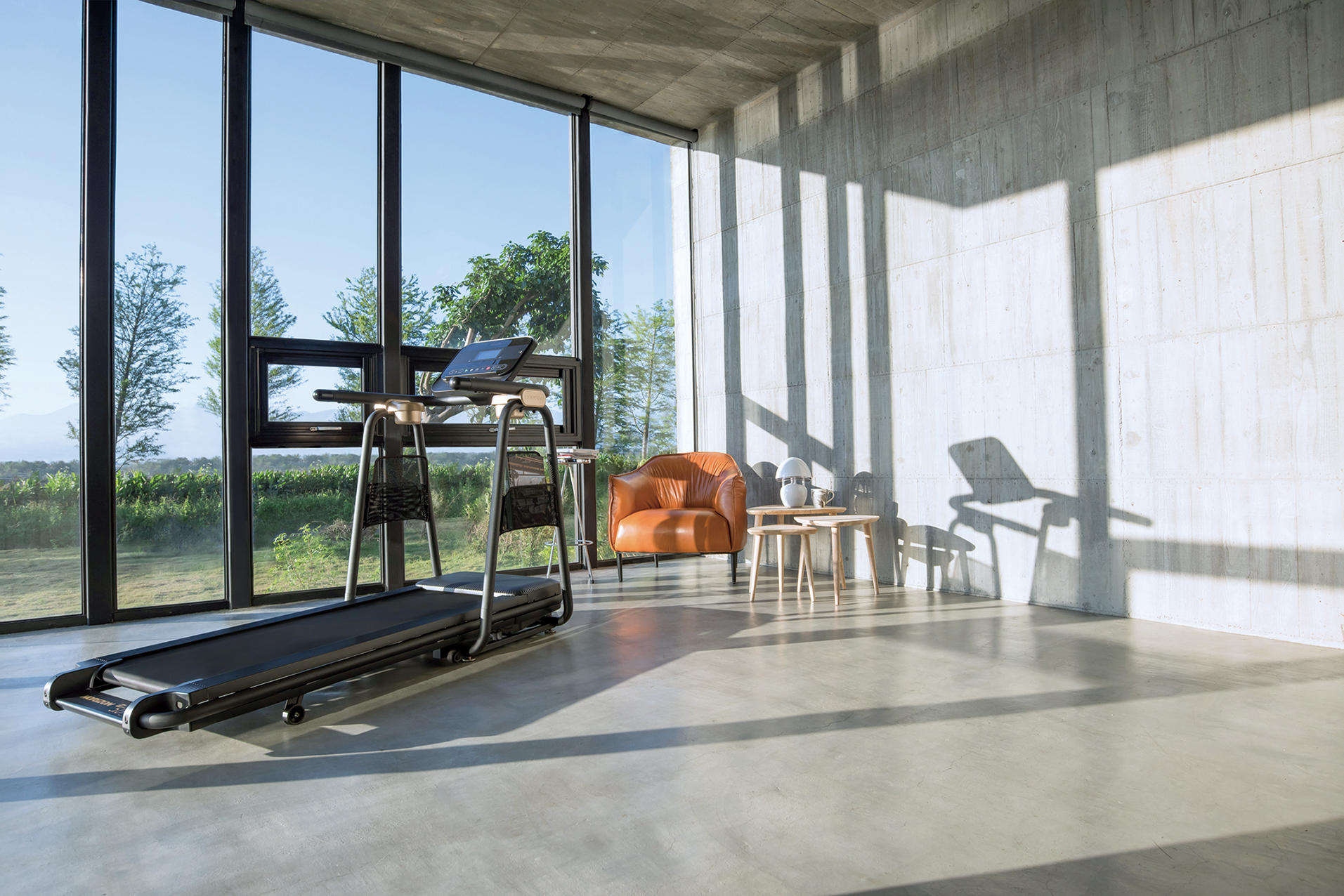 Interior with a treadmill, sofa, two tables, and large windows overlooking a landscape.
