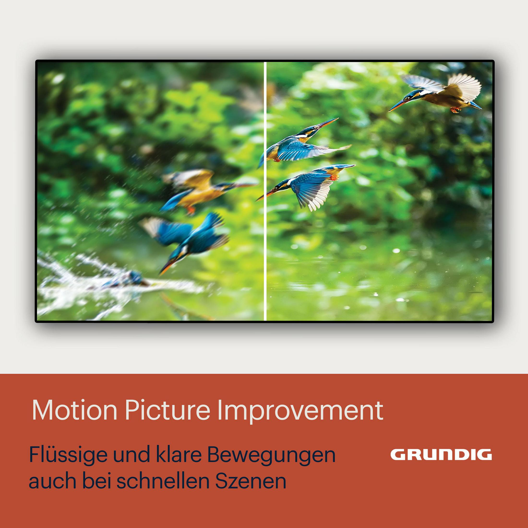 TV-Bildschirm mit fliegenden Vögeln. Text: Motion Picture Improvement. Grundig-Logo.