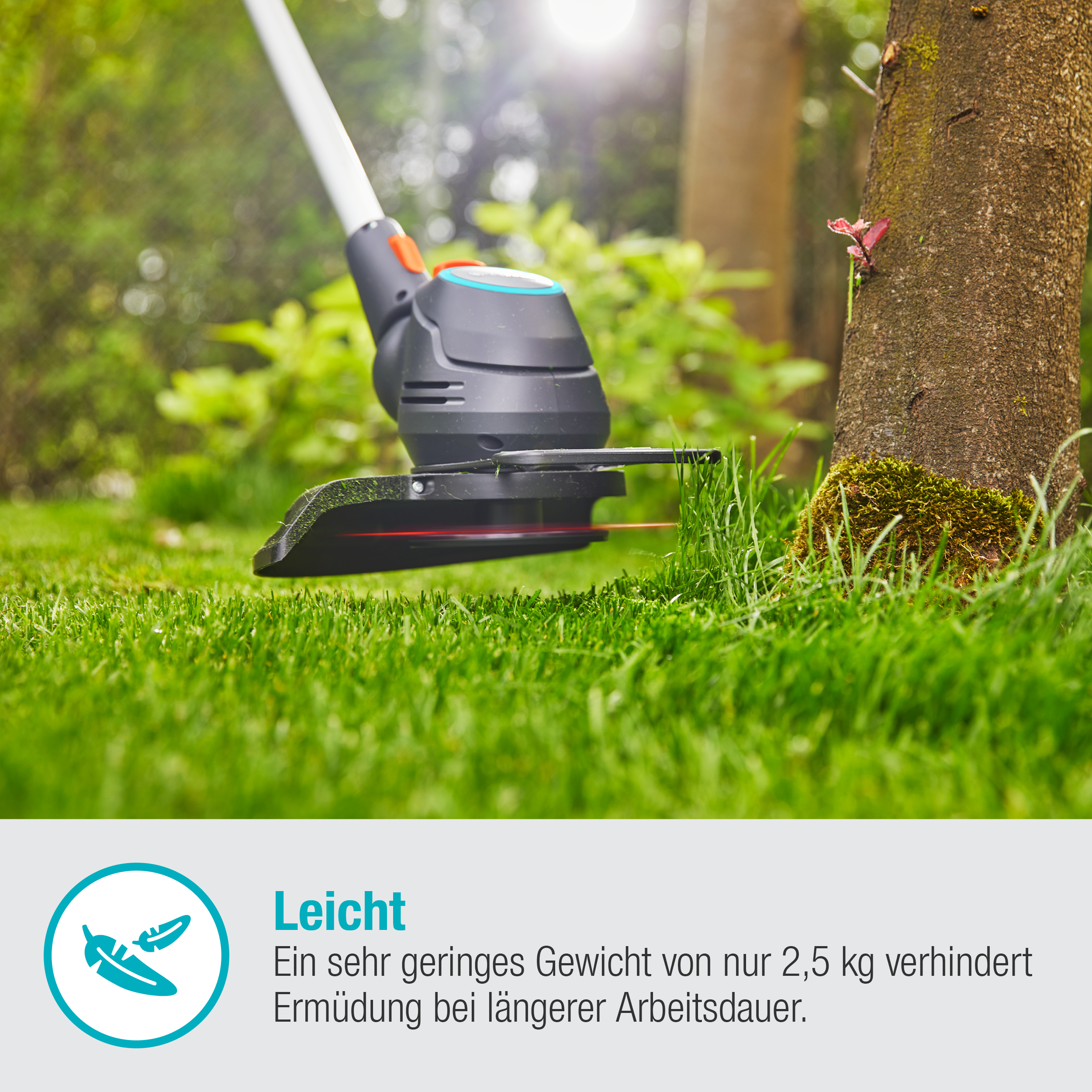Rasentrimmer schneidet Gras. Grünes Gras im Fokus. Baumstamm im Hintergrund. Text: 'Leicht'.
