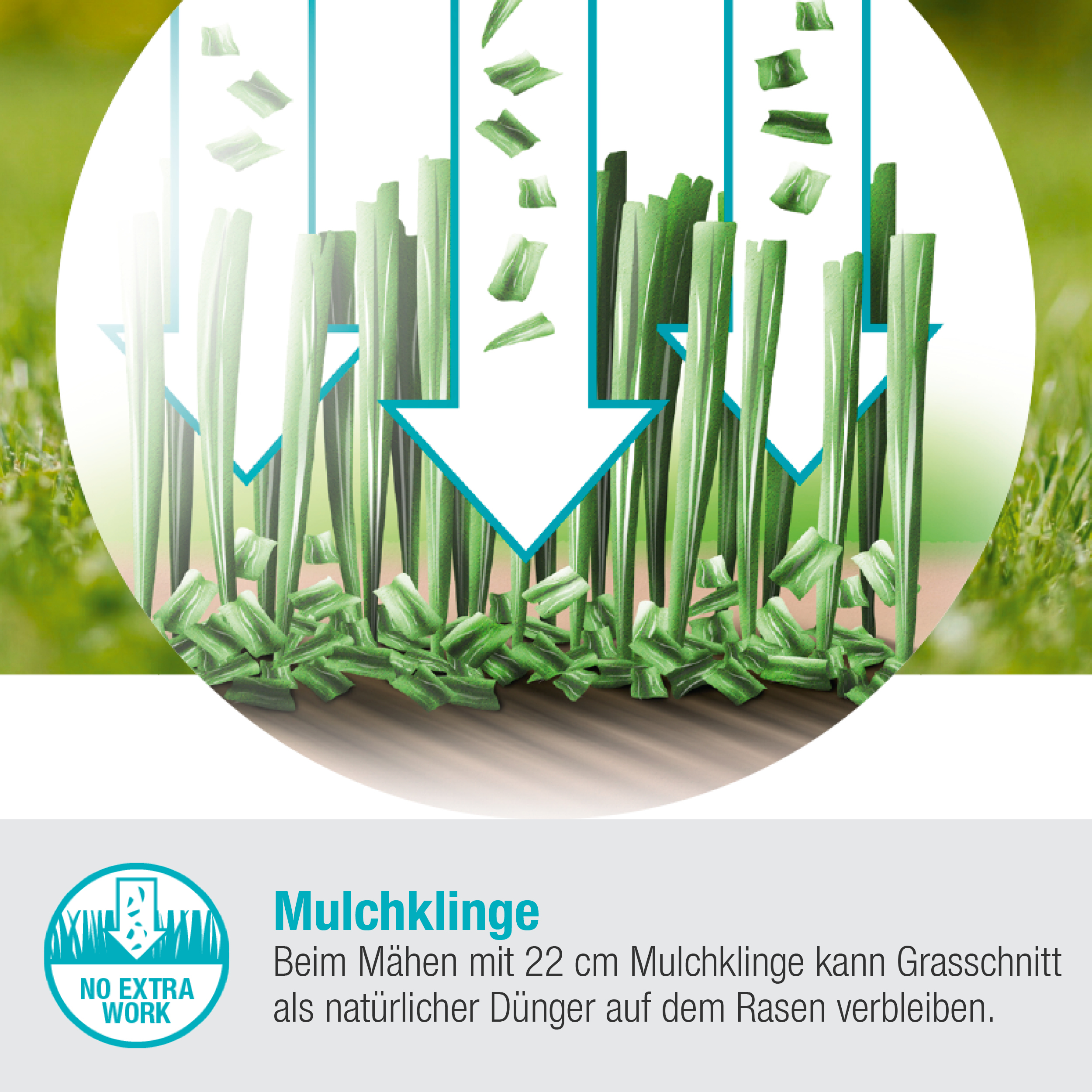Illustration, die zeigt, wie Gras mit Pfeilen geschnitten und gemulcht wird.