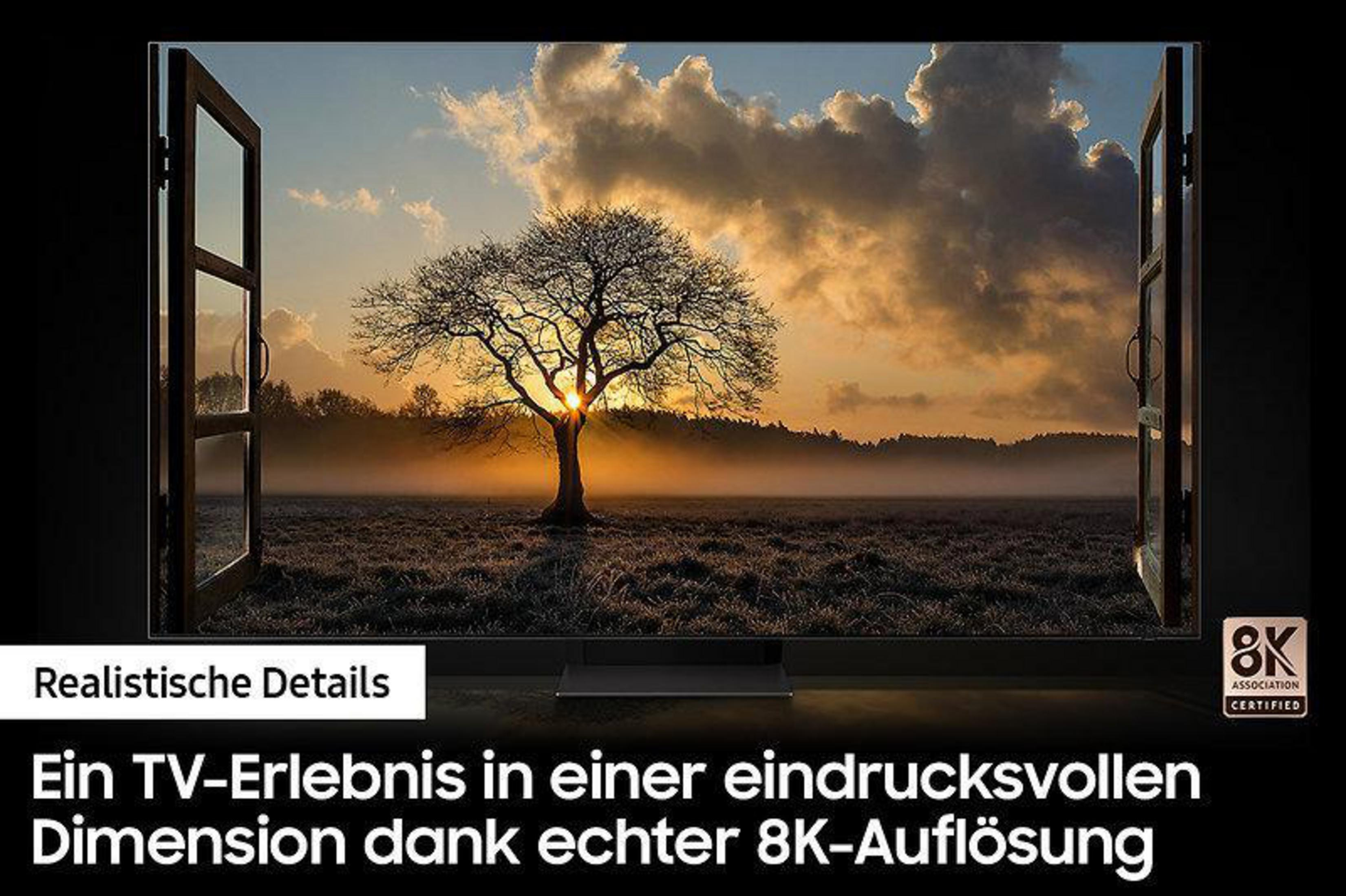 Ekran TV z zachodem słońca przez otwarte okno. Drzewo jest w cieniu na tle słońca.