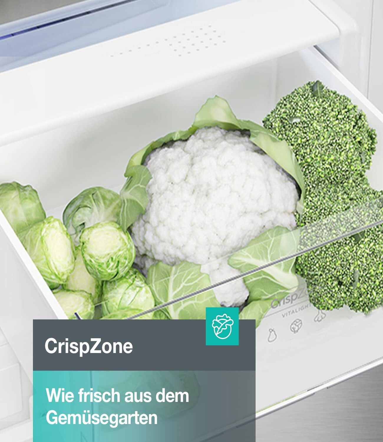 Zbliżenie szuflady na warzywa z kalafiorem, brokułami i brukselką. Nakładka tekstowa: CrispZone.