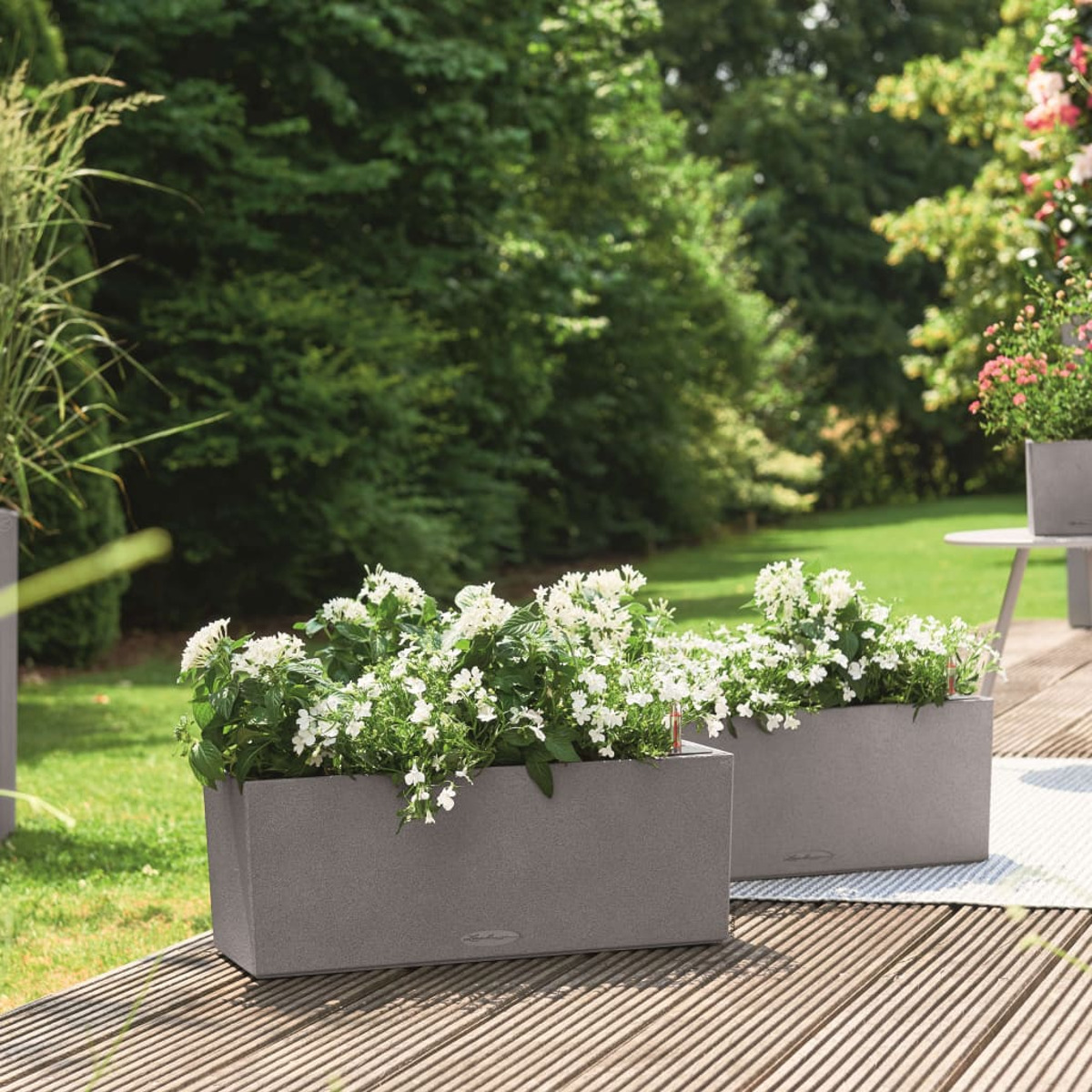 Zwei rechteckige Pflanzgefäße mit weißen Blumen auf Holzterrasse.