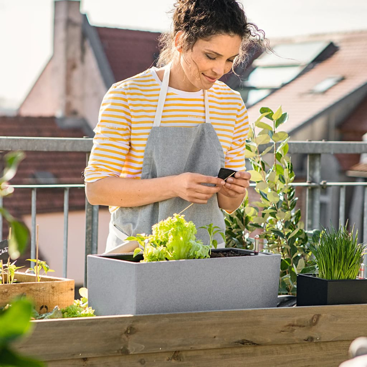 Eine Frau, die einen Garten pflegt. Sie hält eine Saatguttüte über einer grauen Pflanzkiste.