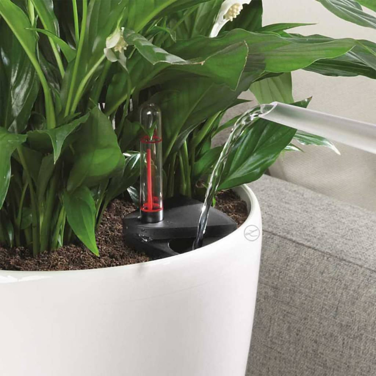 Un pot blanc avec une plante arrosée. Un bec d'eau est visible.