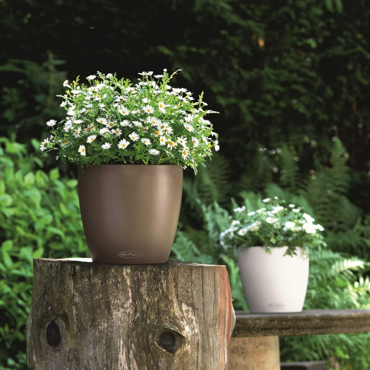 Due vasi con fiori bianchi, uno marrone, uno bianco, posti su un ceppo e una panchina di legno.