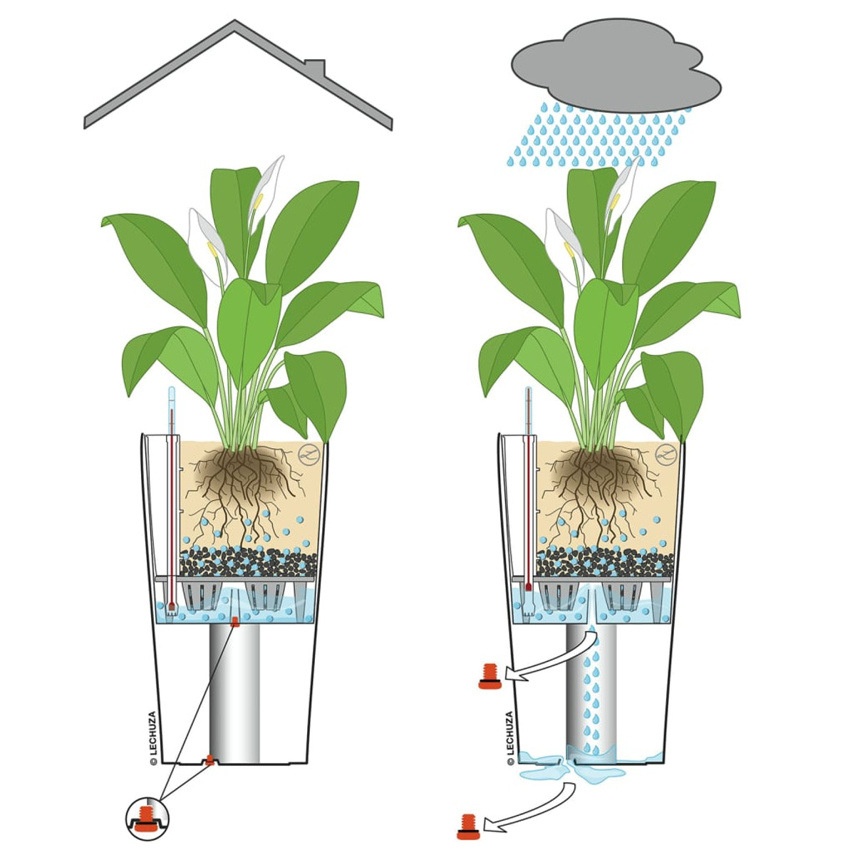 Diagramme montrant un pot de plante auto-arrosant. Deux pots avec des conditions différentes.