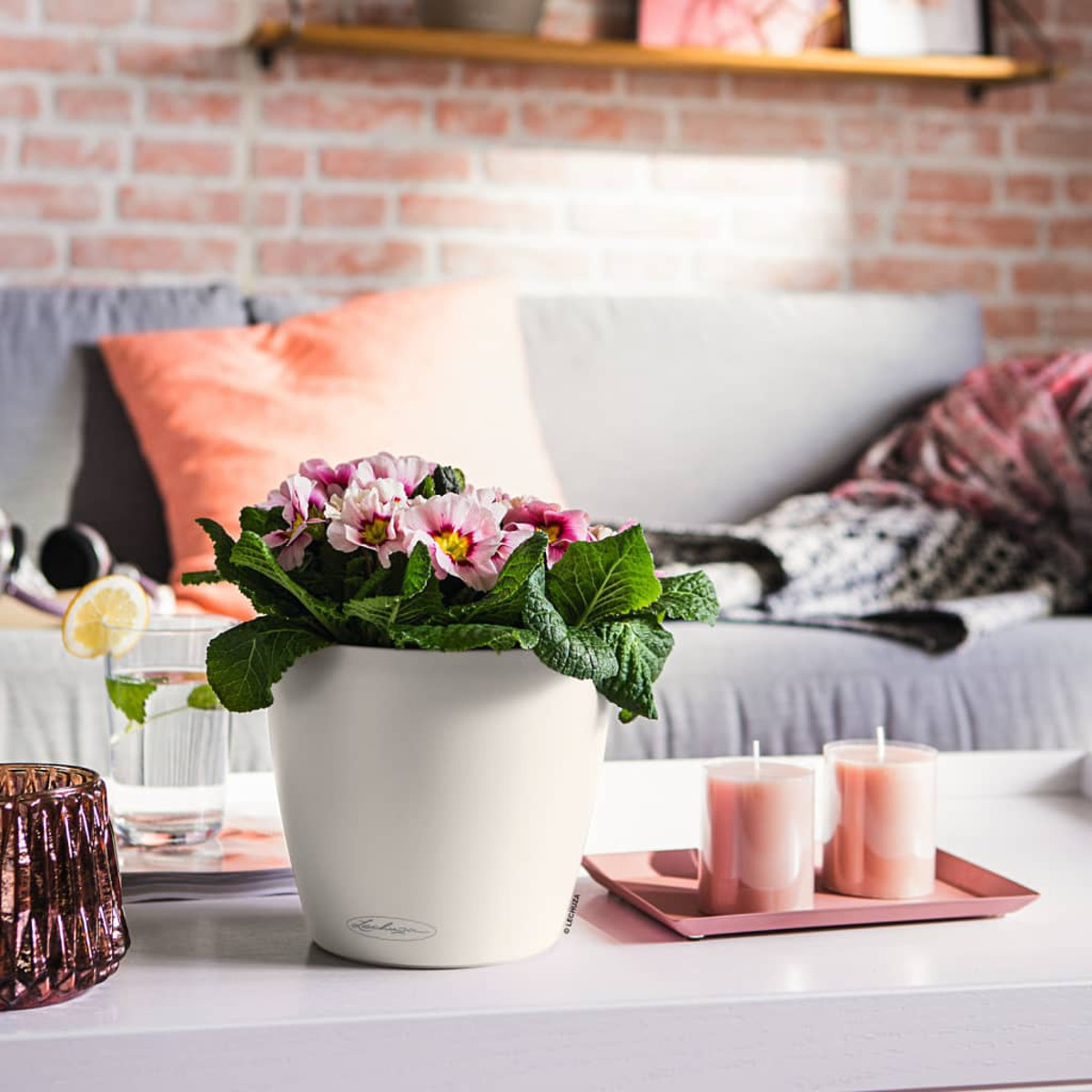 Weißer Blumentopf mit rosa Blumen auf einem Tisch mit Kerzen und einem Getränk.