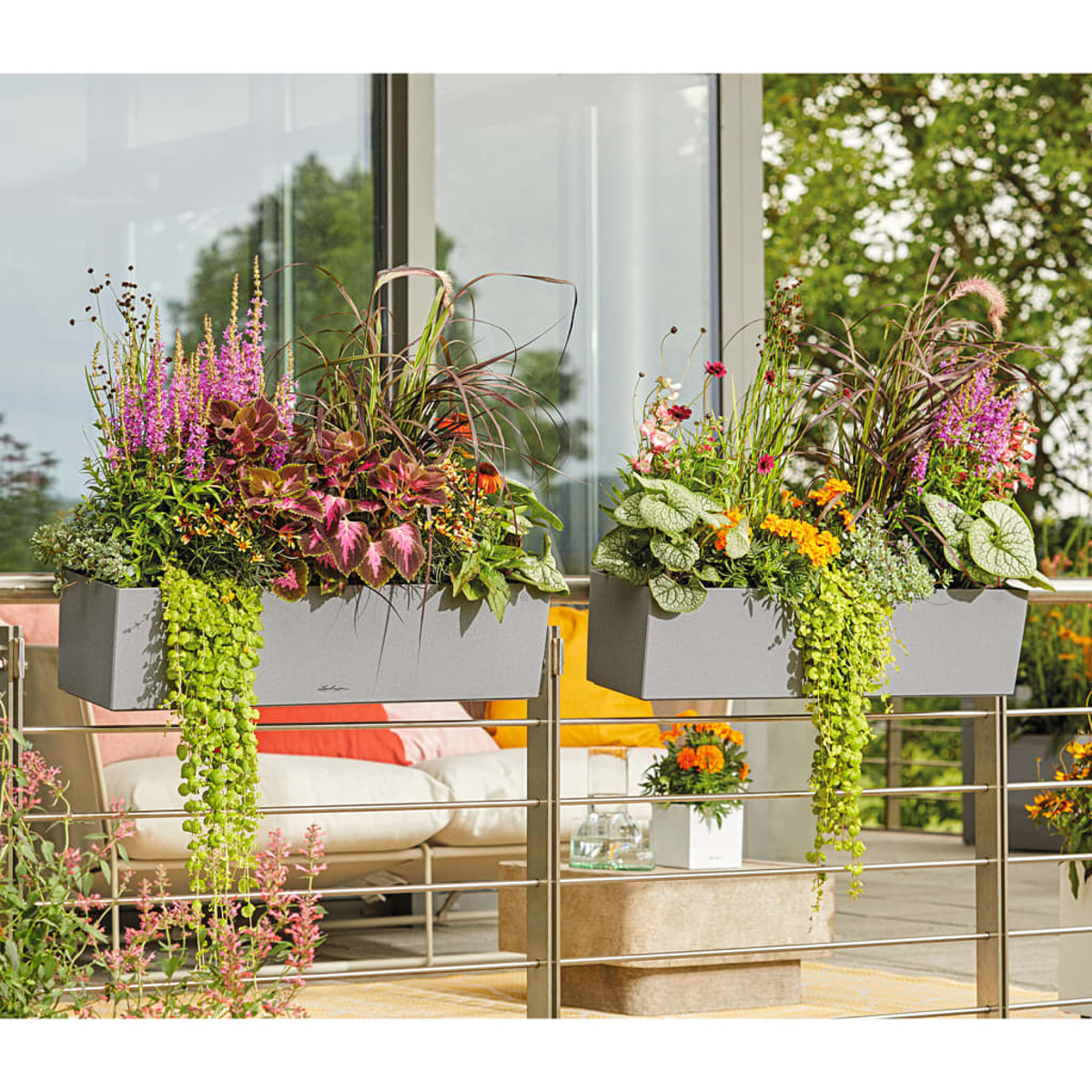 Zwei graue rechteckige Pflanzgefäße mit Blumen und Pflanzen auf einem Balkon mit Metallgeländer.