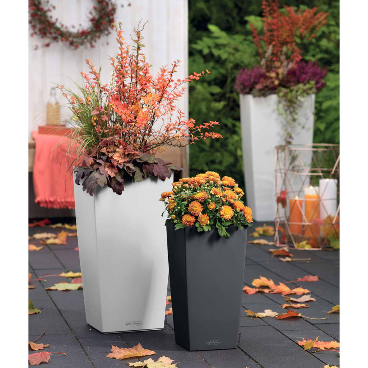 Zwei hohe Pflanzgefäße mit orangefarbenen Blumen und Laub.