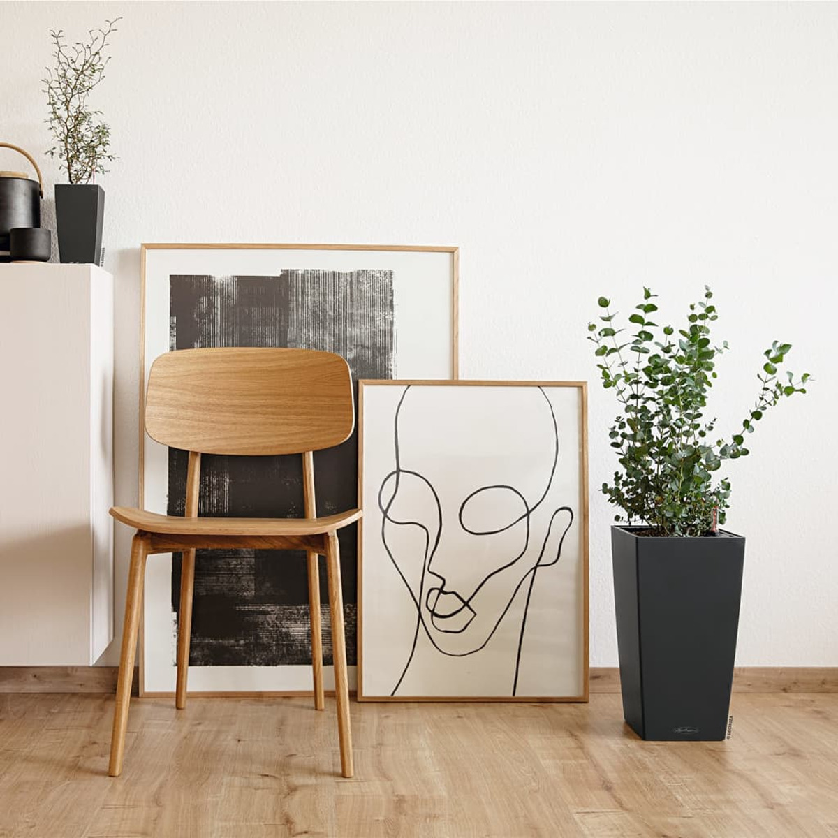 Ein Raum mit einem Holzstuhl, zwei gerahmten Kunstwerken und einer schwarzen Topfpflanze.
