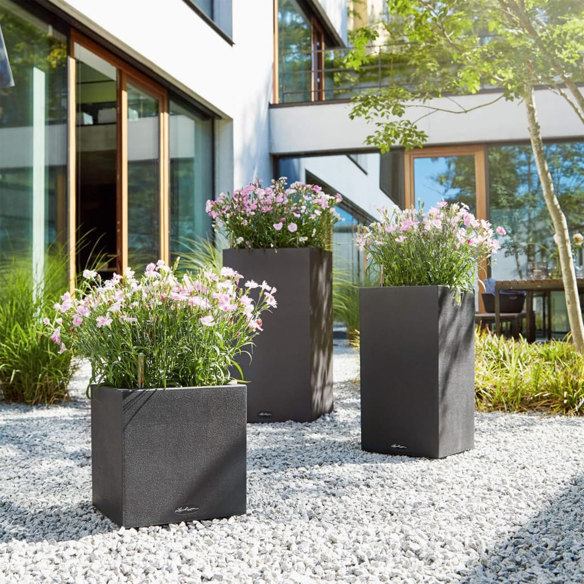 Drei schwarze quadratische Pflanzgefäße mit rosa Blumen in einem Kiesgarten.