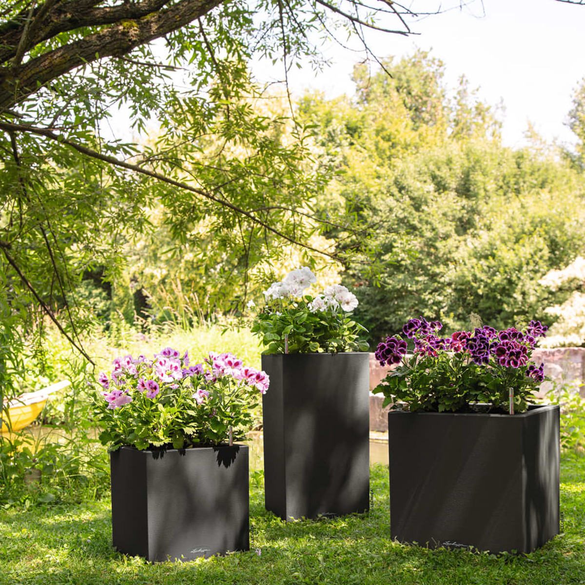 Drei schwarze quadratische Pflanzgefäße mit Blumen auf einem grünen Rasen. Bäume und sonniger Himmel im Hintergrund.