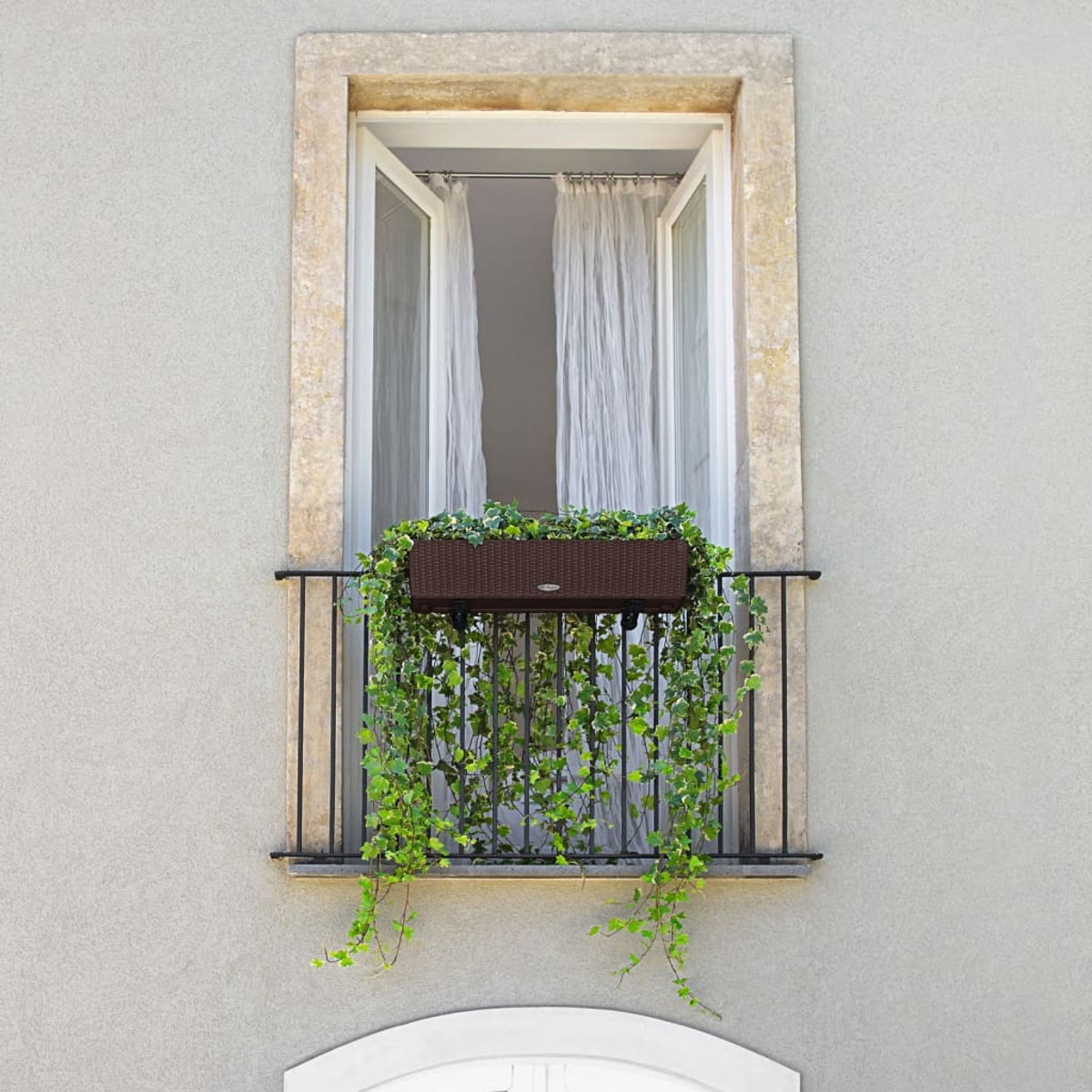 Ein Fenster mit einer braunen Pflanzkasten, gefüllt mit grünen Pflanzen und Efeu, der die Wand hinunterfällt.