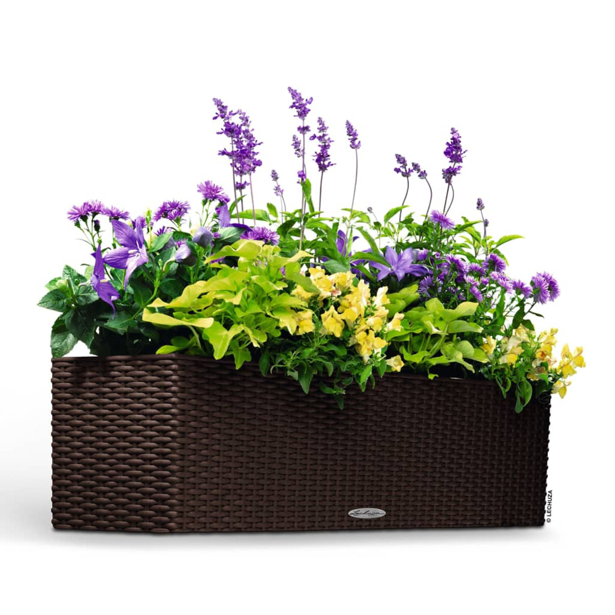 Ein brauner, gewebter Pflanzkübel, gefüllt mit lila, gelben und grünen Blumen und Blättern.