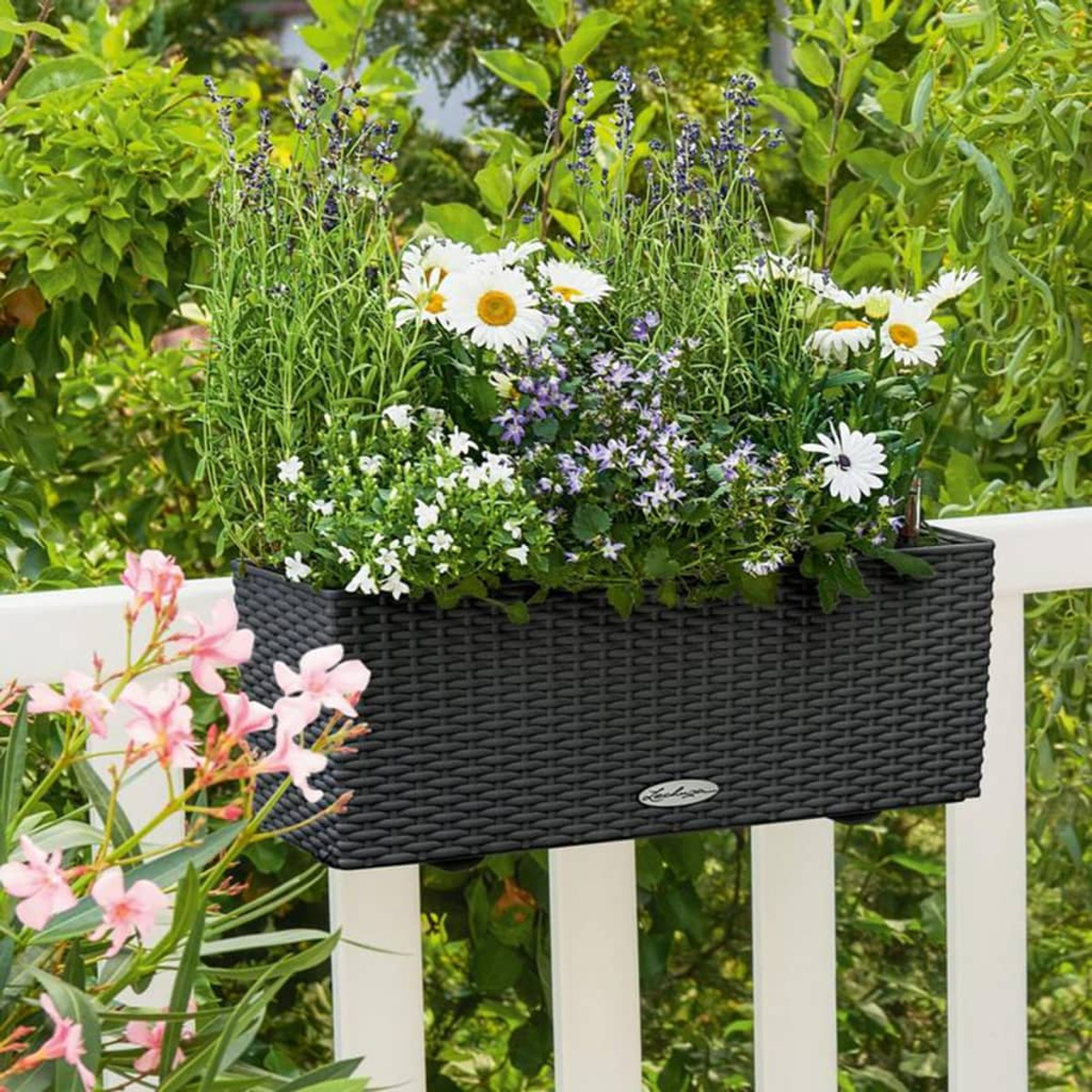 Jardinière noire sur une rambarde blanche, remplie de fleurs et de plantes. Arrière-plan flou.