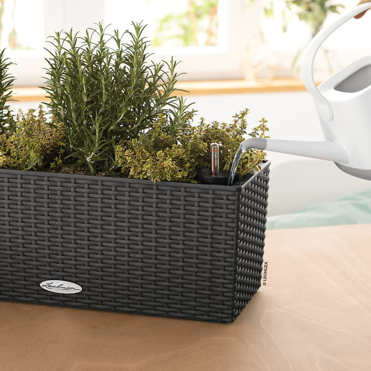 Une jardinière tissée gris foncé avec des herbes et un arrosoir, sur une surface en bois près d'une fenêtre.