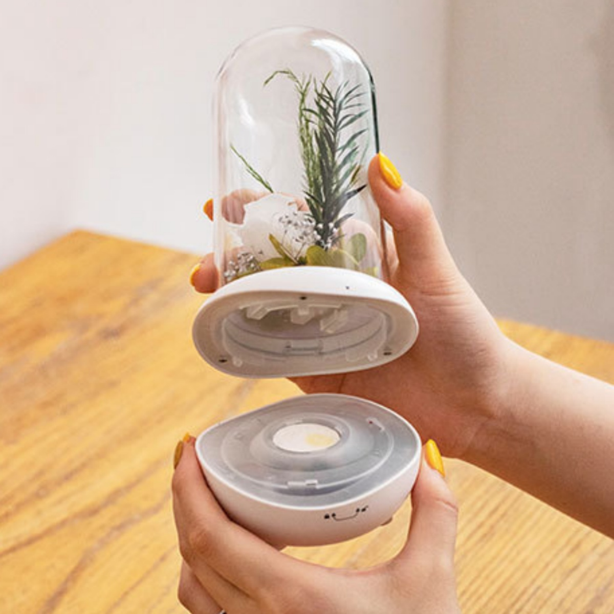 Hände halten eine dekorative Glaskuppel mit Blumen darin und eine separate Basis mit Licht.