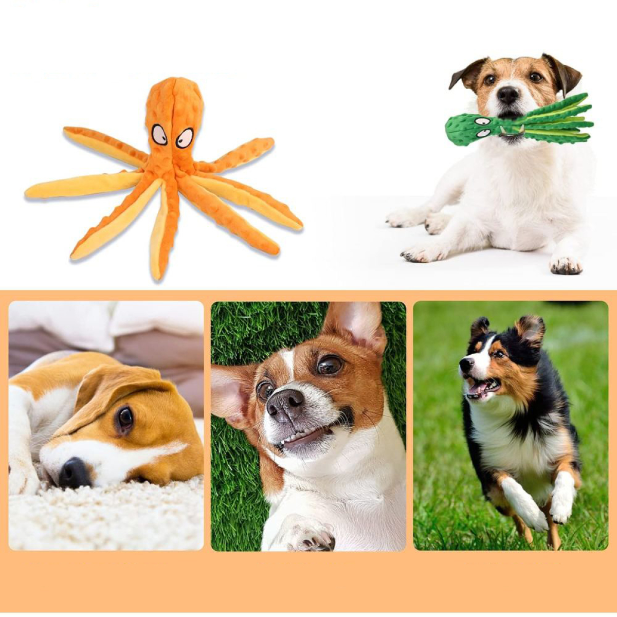 Collage von Hunden mit Spielzeug. Ein Oktopus-Spielzeug, ein Hund mit Spielzeug und drei Hunde in verschiedenen Posen.