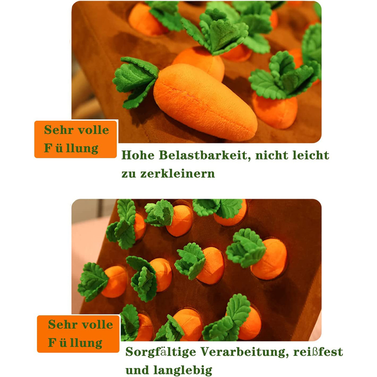 Zwei Bilder. Oben Karotten im Garten, unten Karotten im Garten. Text auf Deutsch.