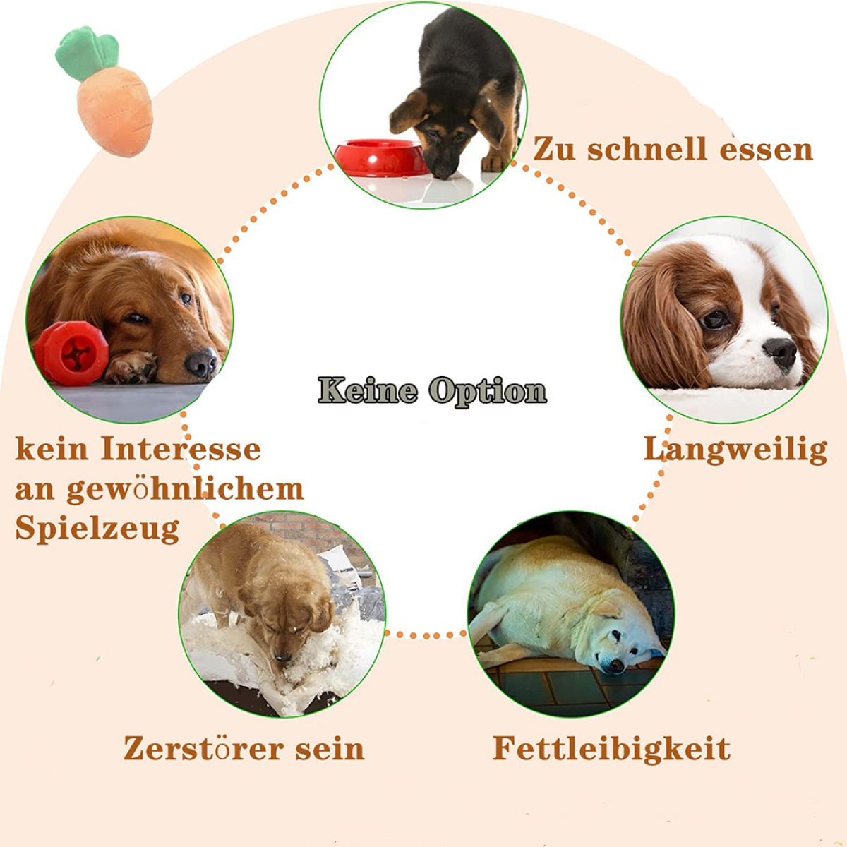 Hunde vermeiden Futter. Optionen sind schnelles Essen, Langeweile, Zerstörung und Übergewicht.
