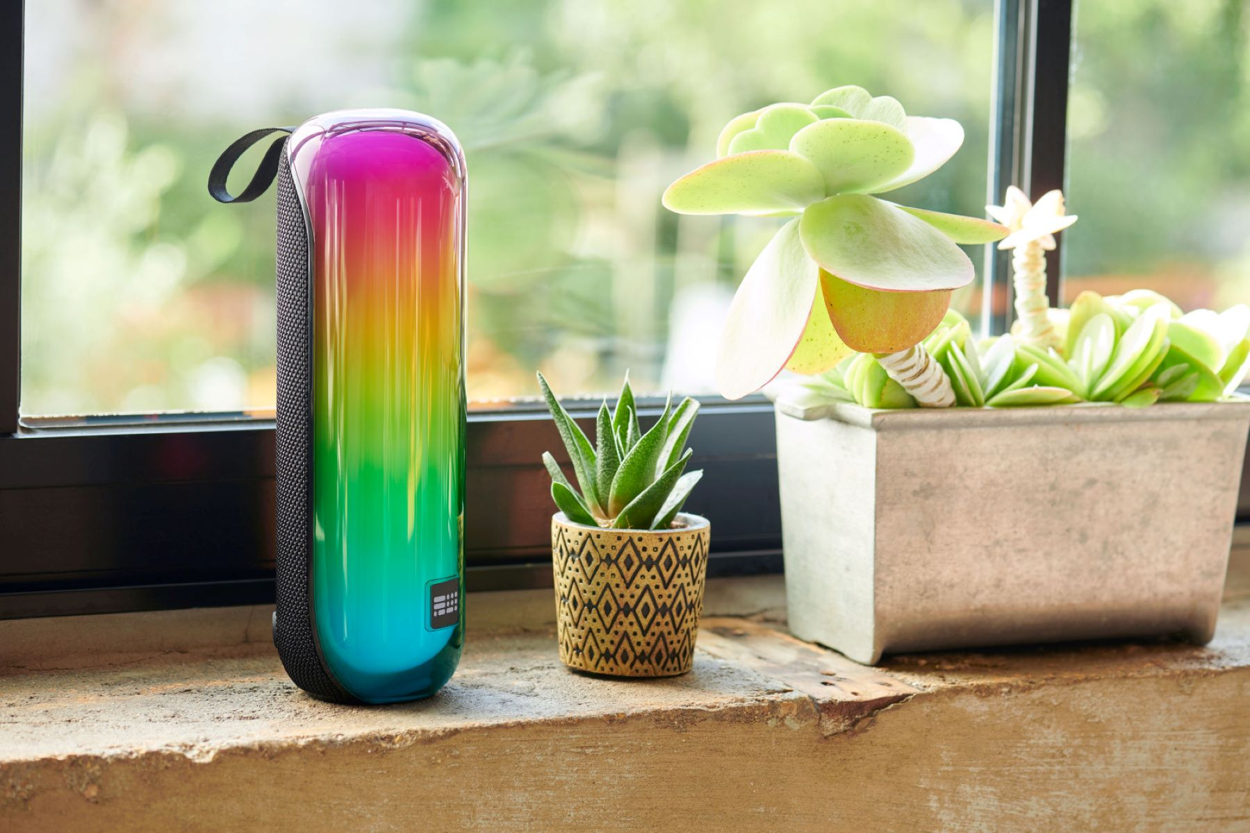 Tęczowy głośnik obok roślin. Mały sukulent i większy.