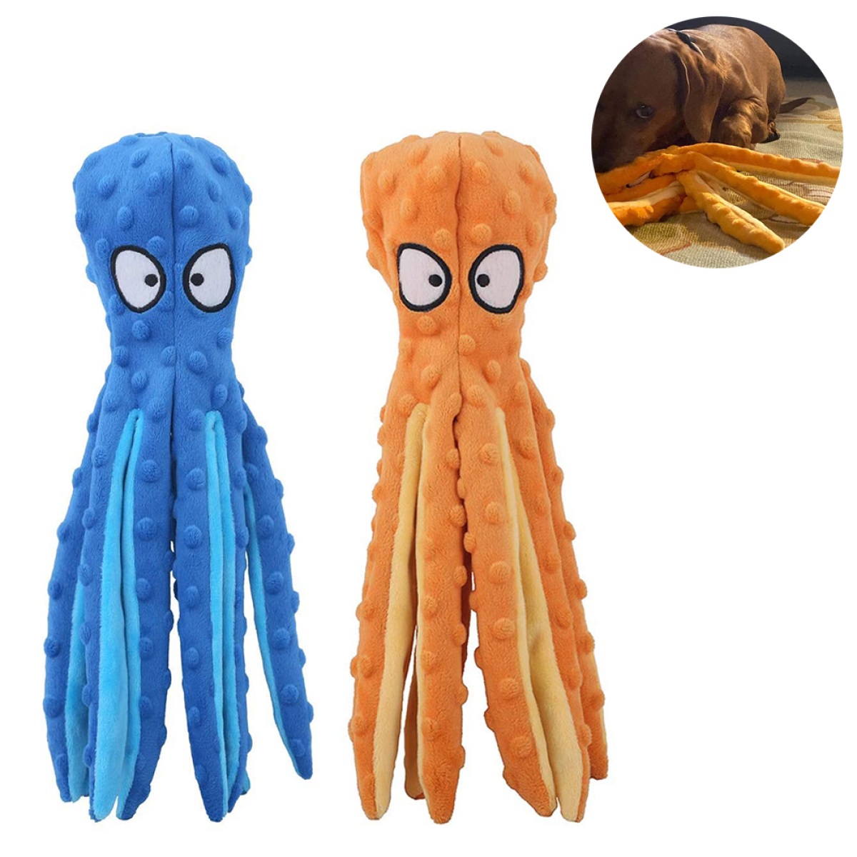 Zwei blaue und orangefarbene Oktopus-Hundespielzeuge. Weißer Hintergrund.