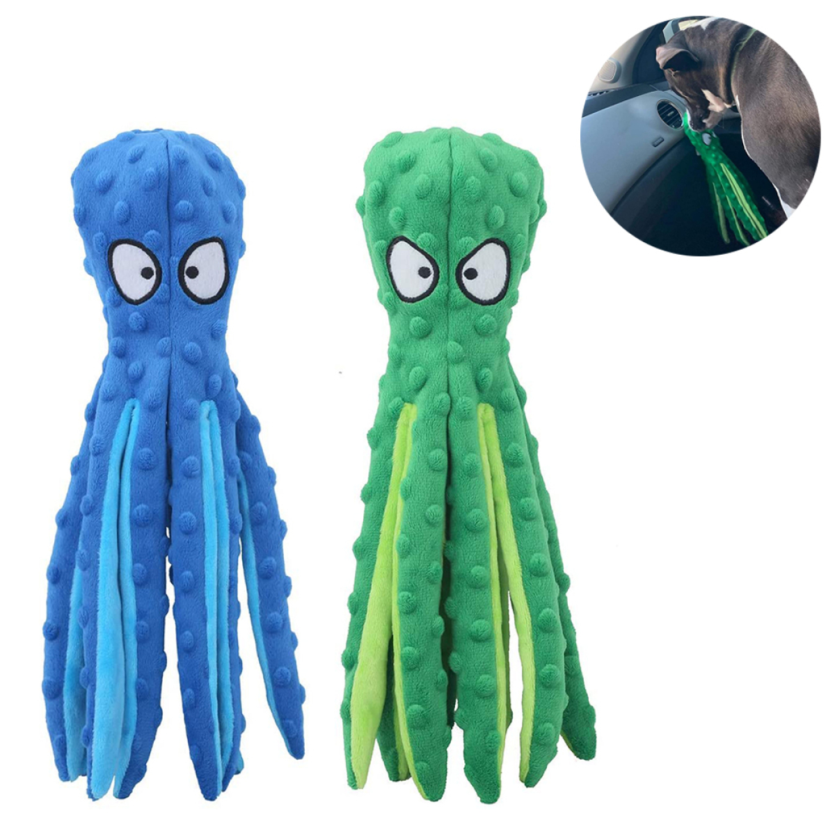 Zwei Oktopus-Hundespielzeuge: eins blau, eins grün. Ein Hund hält eins im Auto.