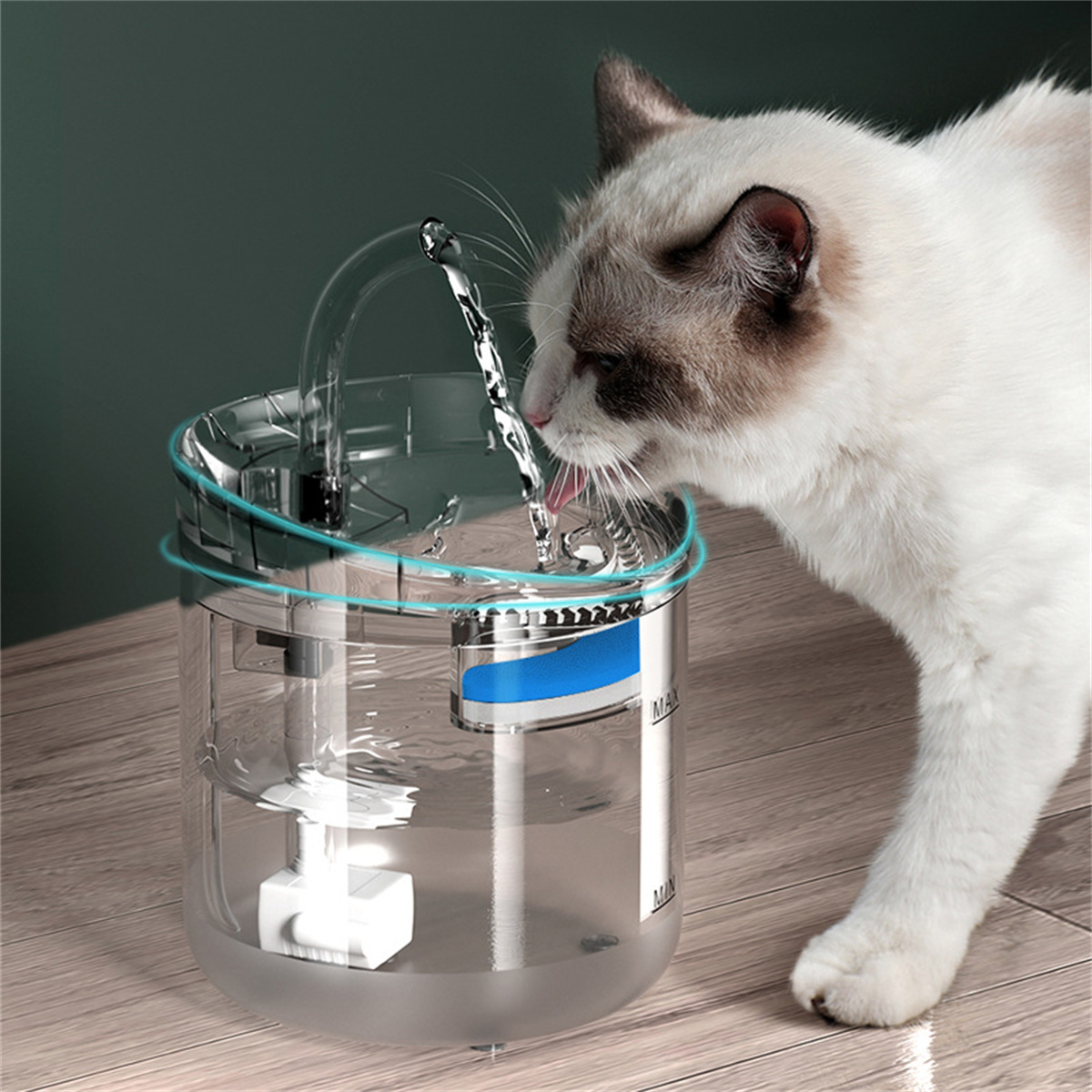 Katze trinkt Wasser aus einem klaren Brunnen. Der Brunnen hat ein blaues und weißes Design.